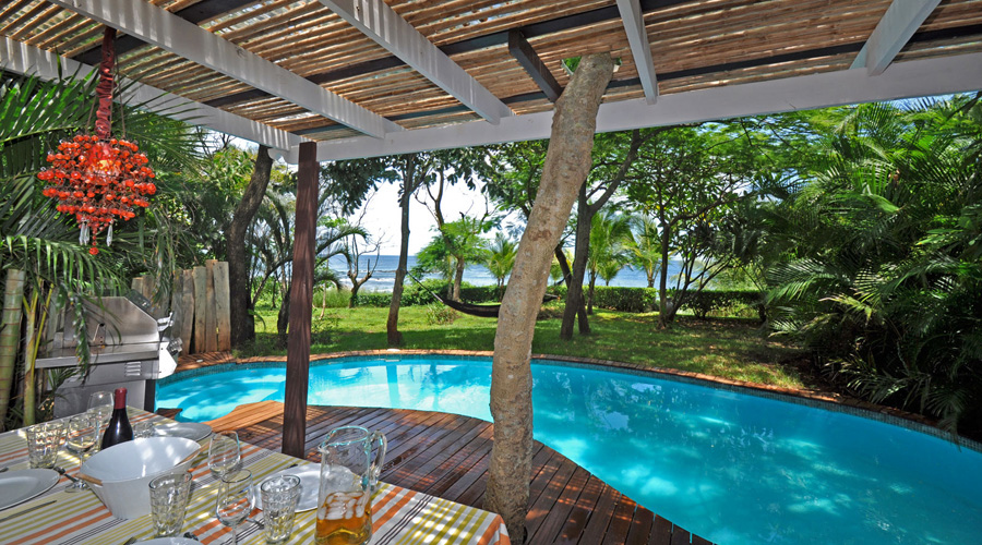 La terrasse, la piscine, le jardin tropical et l'ocan !