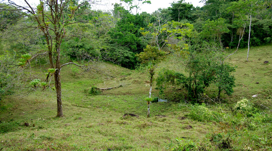 Autre vue de la finca proche d'Upala, Province d'Alajuela, Costa Rica