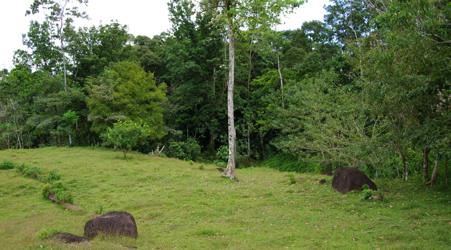 Autre vue de la finca, Bijagua, Province d'Alajuela, Costa Rica - Vue 1