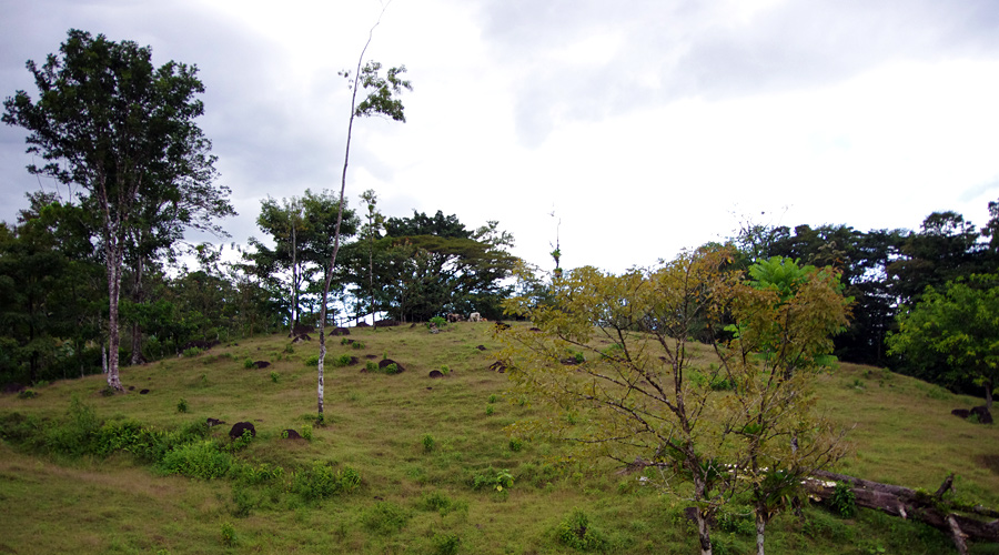 Autre vue de la finca, Bijagua, Province d'Alajuela, Costa Rica - Vue 2