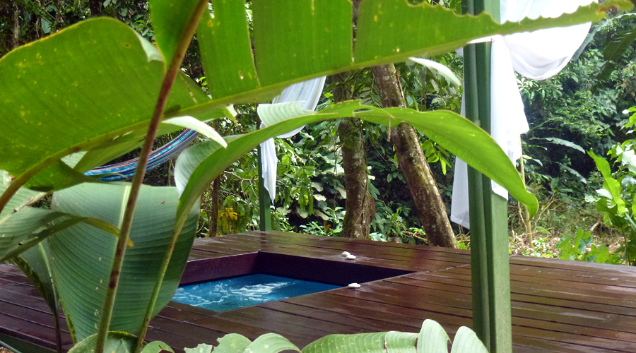 Costa Rica Immobilier - Maisons dans les arbres Jungle, maison + 2