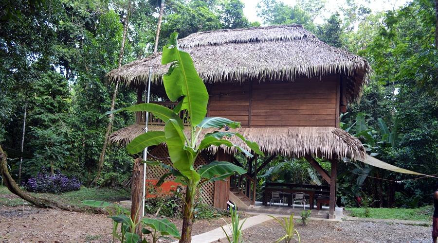 Cabanes dans les arbres, Costa Rica, maison principale  usage des propritaires ou  louer