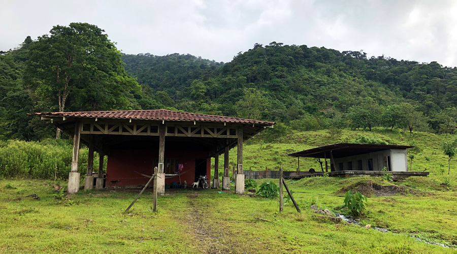 Costa Rica - Alajuela - Bijagua - Armnia - Le terrain - Vue 1