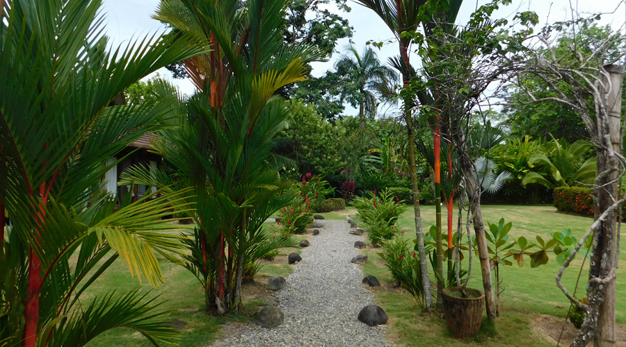 Costa Rica - Cahuita - Villa Lujosa - Le jardin - Vue 3