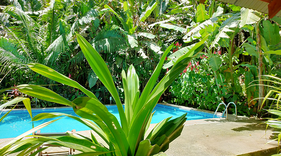 Costa Rica - Carabes - Cara 6 + 1 -  La piscine - vue 2