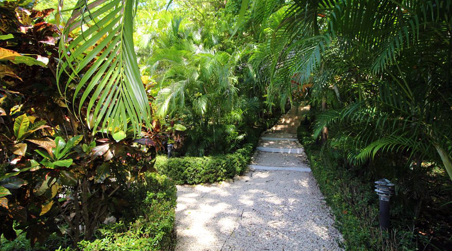 Costa Rica - Guanacaste - Htel Idal CR - Chemins et jardin - Vue 1