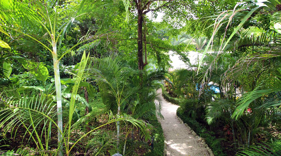 Costa Rica - Guanacaste - Htel Idal CR - Chemins et jardin - Vue 2