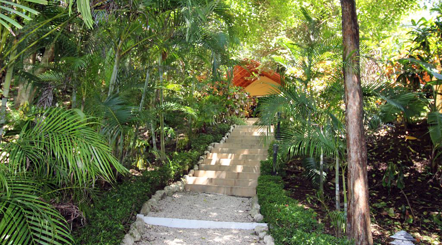 Costa Rica - Guanacaste - Htel Idal CR - Chemins et jardin - Vue 3