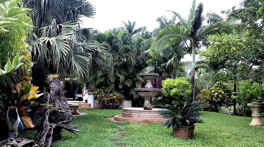 Costa Rica - Guanacaste - Playas del Coco et Hermosa - Casa Orchide - Le magnifique jardin - Vue 3