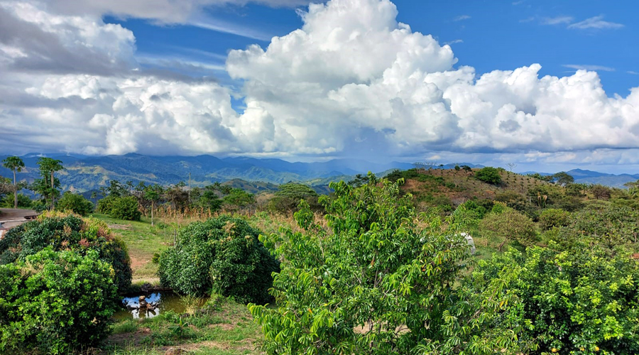 Costa Rica - Guanacaste - Proprit 7 hectares et 2 maisons - Le terrain - Vue 2