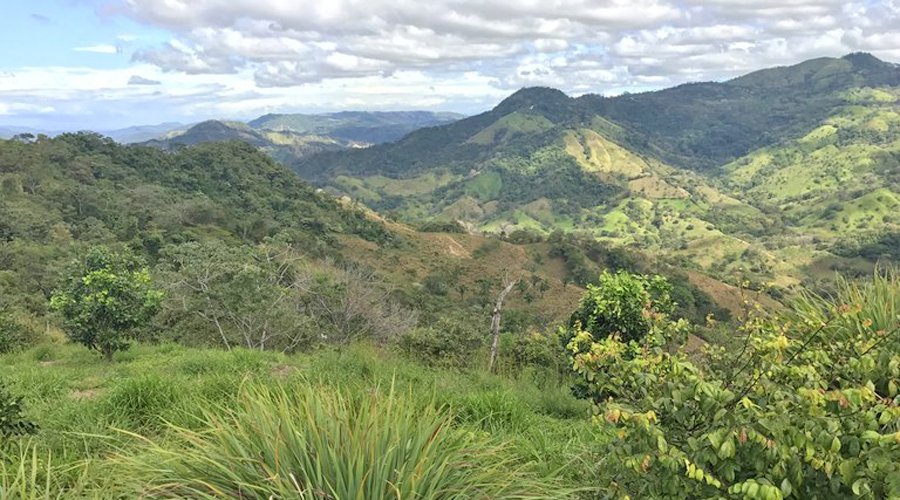 Costa Rica - Guanacaste - Proprit 7 hectares et 2 maisons - Le terrain - Vue 3