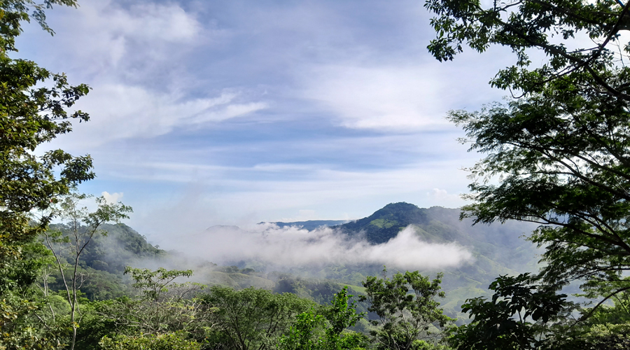 Costa Rica - Guanacaste - Proprit 7 hectares et 2 maisons - Le terrain - Vue 4