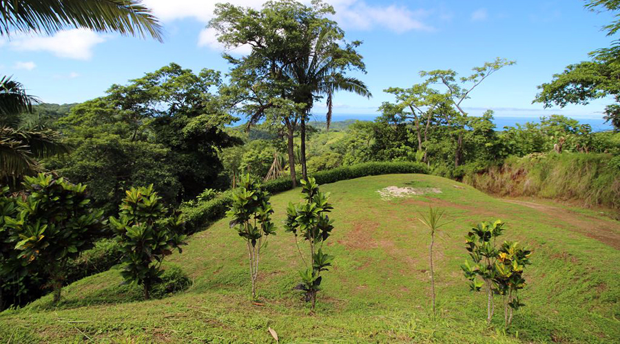 Costa Rica - Guanacaste - Samara - Santo Domingo - Terrain de 5.000m  - La terrasse infrieure