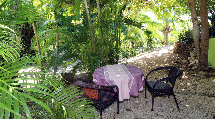 Costa Rica - Guanacaste - Samara - Villa Perche - Le jardin - Vue 1