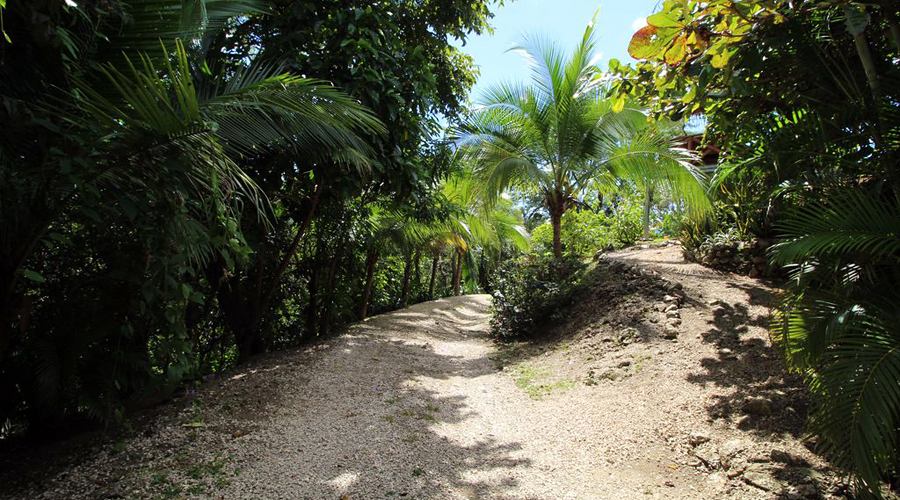 Costa Rica - Guanacaste - Samara - Villa Perche - Le jardin - Vue 2