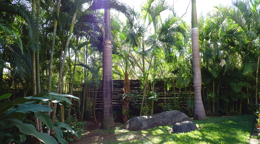 Costa Rica - Guanacaste - Tamarindo - Tama O2 - Le jardin tropical - Vue 1