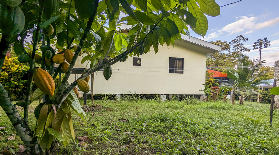 Costa Rica, Province de Limon, Cahuita, Casa Cenizaro - Exterieur 5
