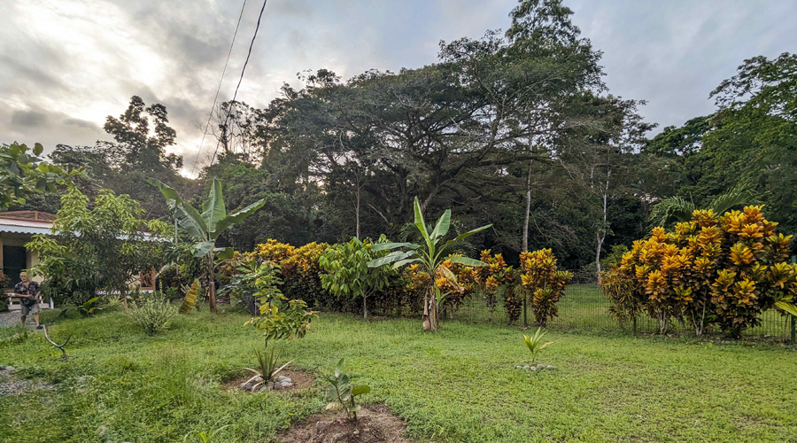 Costa Rica, Province de Limon, Cahuita, Casa Cenizaro - Jardin 1