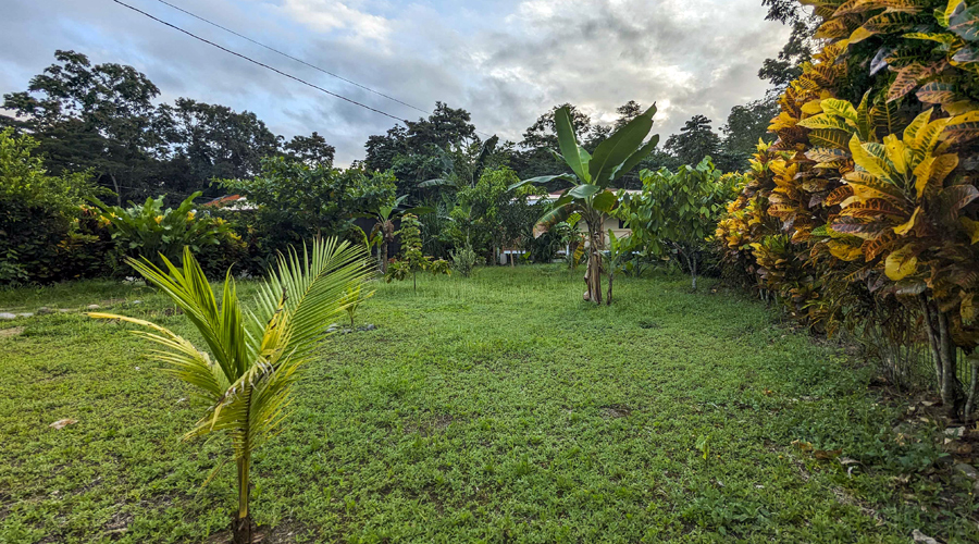 Costa Rica, Province de Limon, Cahuita, Casa Cenizaro - Jardin 2