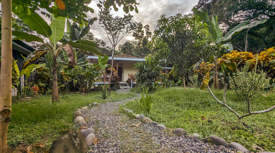 Costa Rica, Province de Limon, Cahuita, Casa Cenizaro - Jardin 3