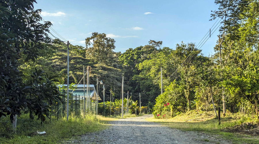 Costa Rica, Province de Limon, Cahuita, Casa Cenizaro - La route qui mne au terrain