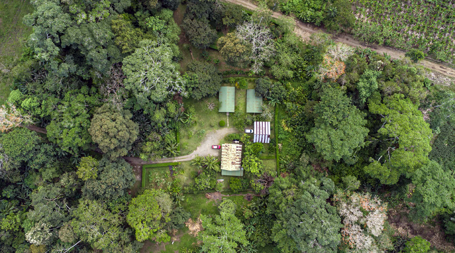 Costa Rica, Province de Limon, Cahuita, Villas Limon Dulce - Vue du ciel 2 / Sud/Nord