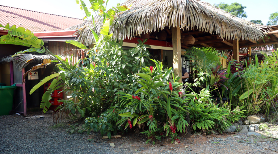  Costa Rica, Province de Puntarenas, Ojochal, Caf Restaurant Boulangerie-Ptisserie Franaise - Terrasse 1