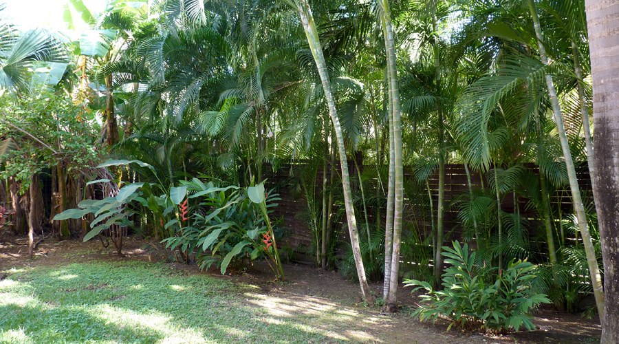 Jardin tropical entirement clos et prserv des regards