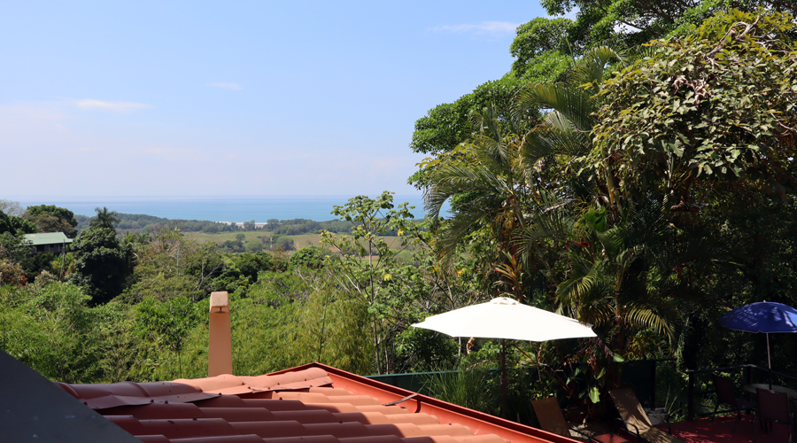 Costa Rica, Province Puntarenas, entre Quepos et Dominical, Hotel-Restaurant + 5 lodges - Appartement 1er tage - Vue terrasse 1
