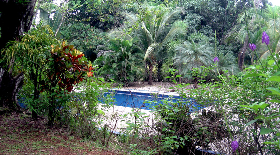 La piscine 5 x 10 mtres, htel  restaurer, Montezuma, Costa Rica
