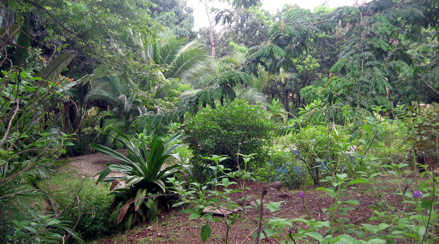 Aperu du terrain, htel  restaurer, Montezuma, Costa Rica
