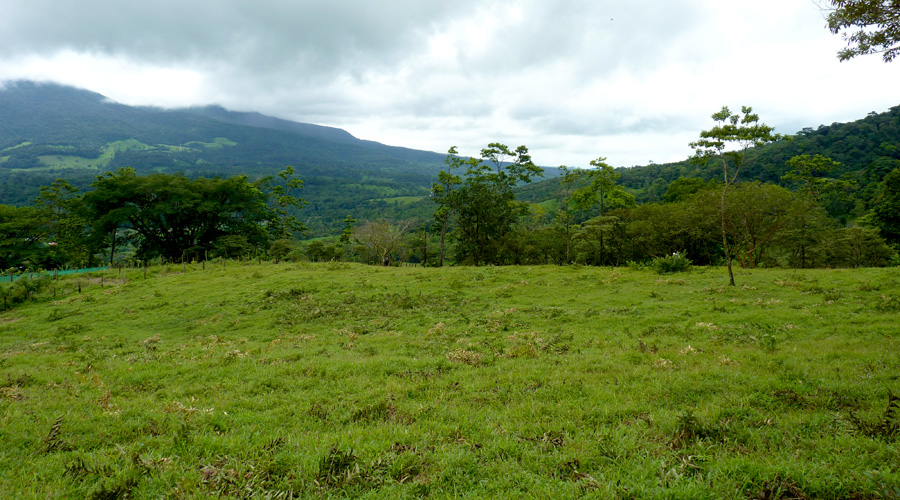 2 terrains  vendre, situs entre les volcans Miravalles et Tenorio, province d'Alajuela, Costa Rica - Vue 2