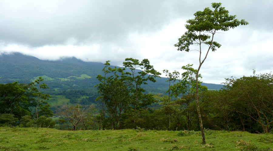 2 terrains  vendre, situs entre les volcans Miravalles et Tenorio, province d'Alajuela, Costa Rica - Vue 3
