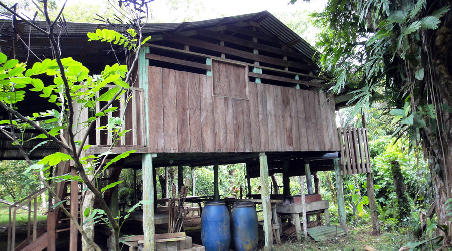Finca biologique, Limon, Costa Rica, maison de bois sur pilotis