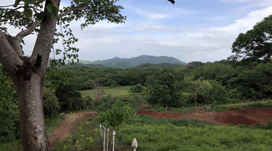Trs beau terrain brad prs de Tamarindo / Guanacaste - Vue 6
