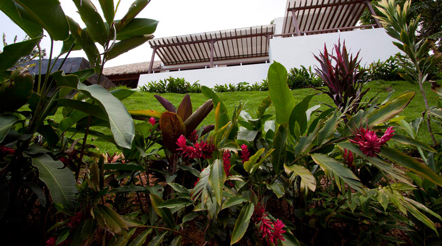 Dtail du jardin devant les terrasses des chambres