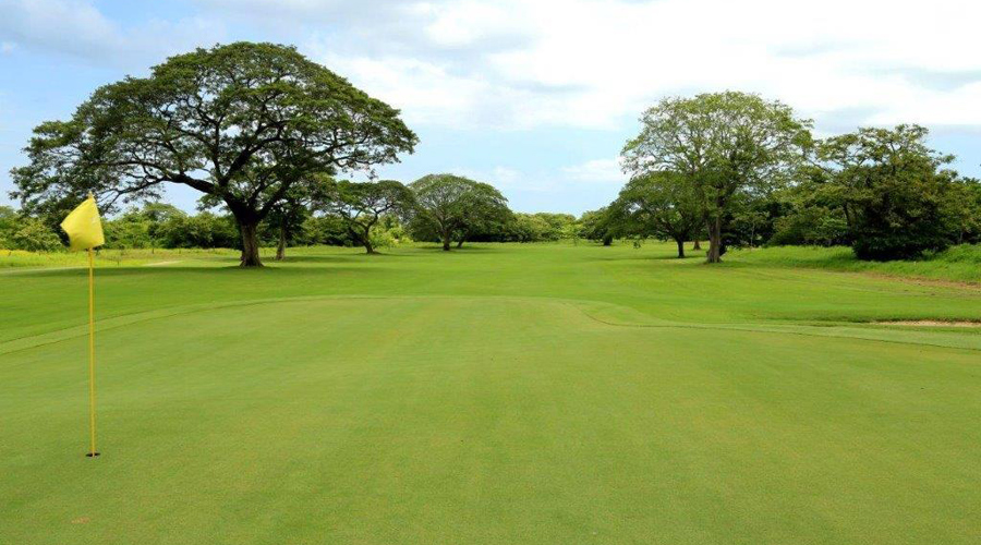 La vue du jardin sur le golf international d'Hacienda Pinilla