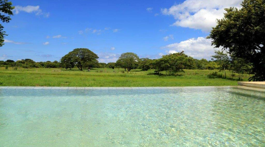 Vue sur la nature de la piscine de 15 mtres de long