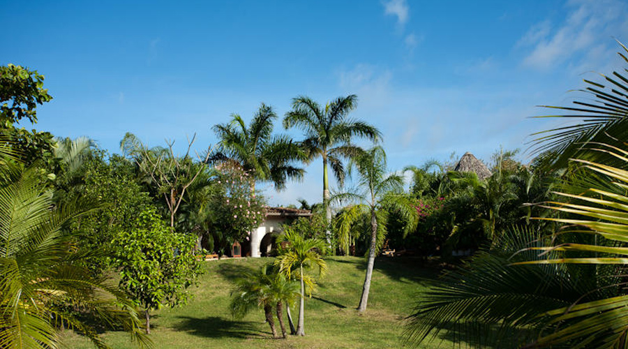 Vue partielle du jardin