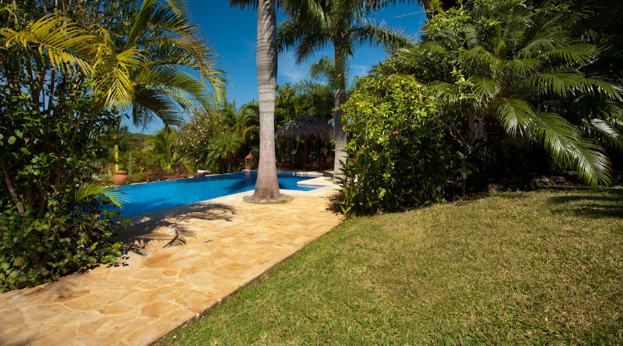 Un petit bout de jardin et la piscine