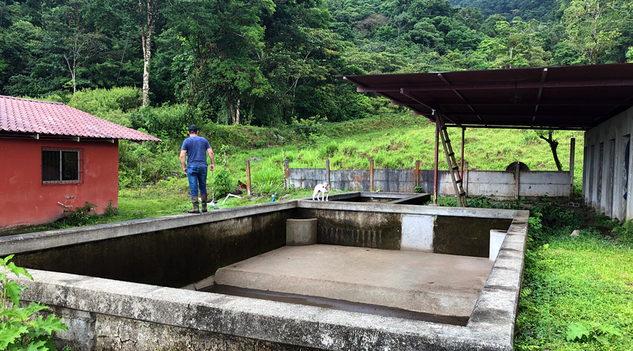 Costa Rica - Alajuela - Bijagua - Armnia - La piscine - Vue 2