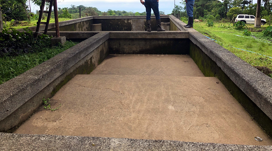 Costa Rica - Alajuela - Bijagua - Armnia - La piscine - Vue 4