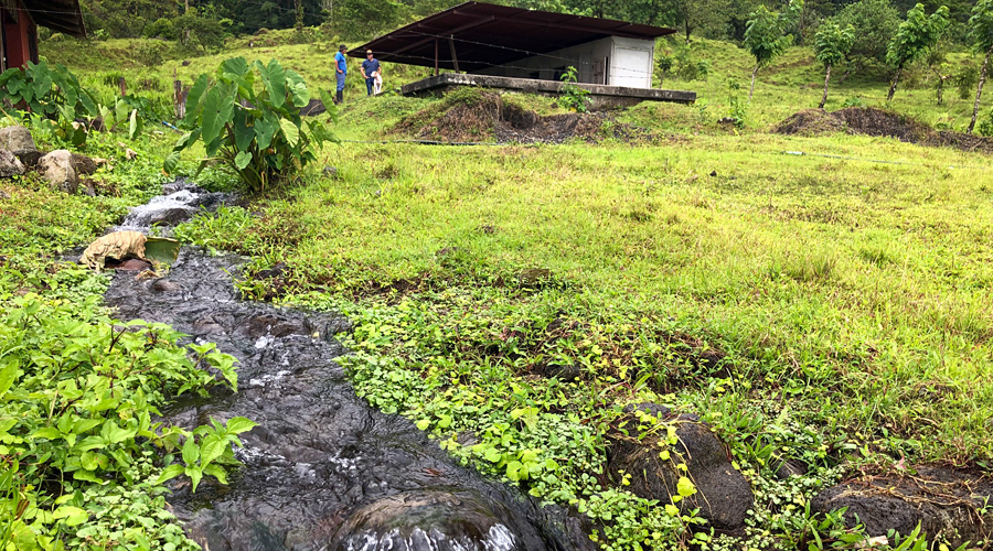 Costa Rica - Alajuela - Bijagua - Armnia - La rivire - Vue 1