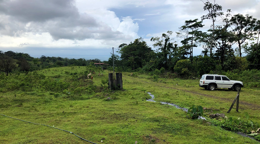 Costa Rica - Alajuela - Bijagua - Armnia - Le terrain - Vue 2