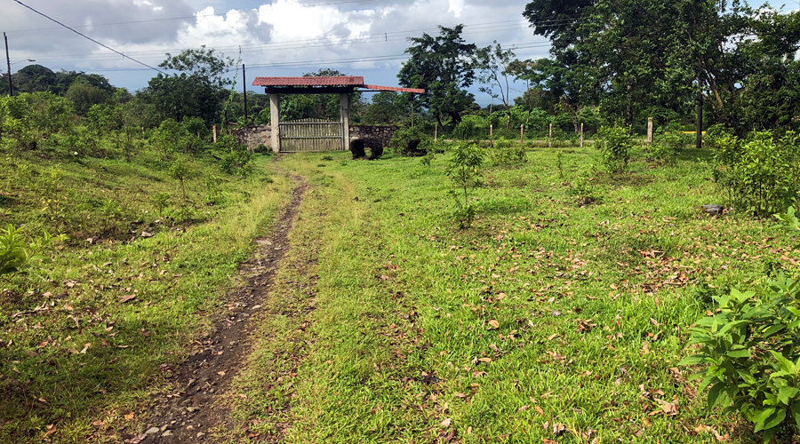 Costa Rica - Alajuela - Bijagua - Armnia - Le terrain - Vue 3