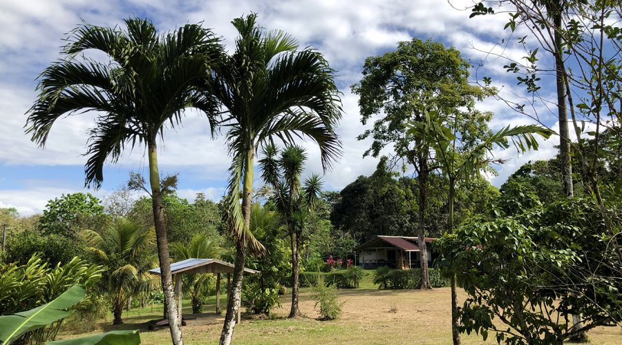 Costa Rica - Bijagua - Finca La Cabaña - Vue jardin depuis La Cabaña