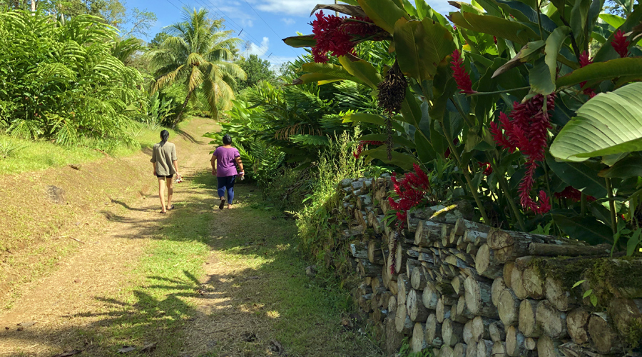 Costa Rica - Bijagua - Finca La Cabaa - Le chemin interne