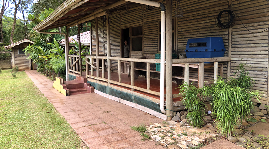 Costa Rica - Bijagua - Finca La Cabaa - Terrasse est