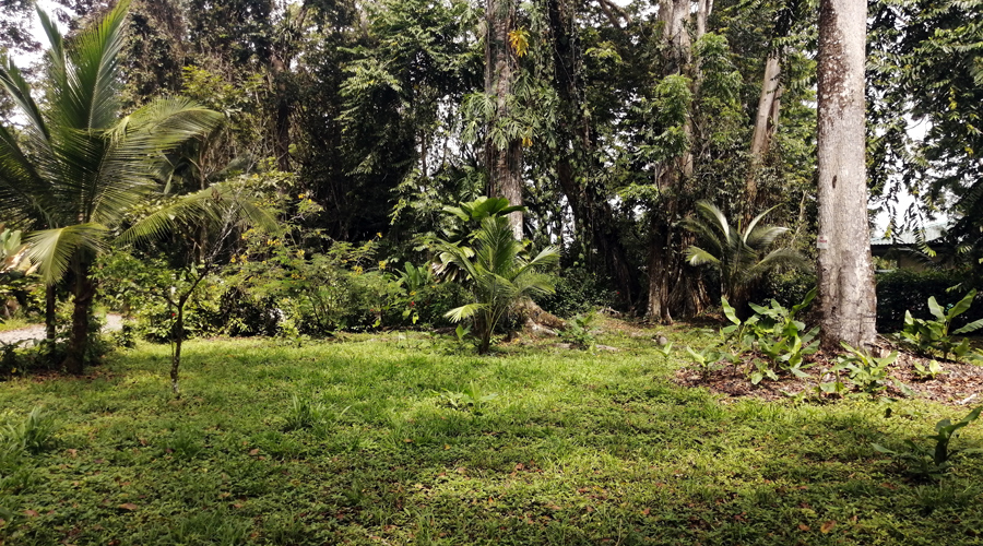 Costa Rica - Cahuita - Joli terrain de 800 m - Constructible - Vue 2