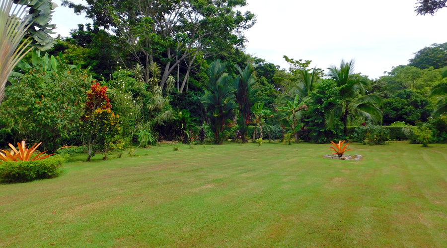 Costa Rica - Cahuita - Villa Lujosa - Le jardin - Vue 2